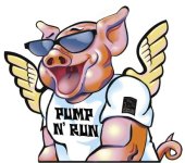 pump n run pig.jpg