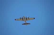 IMG_2071.jpg