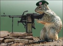 funny squirrels with guns (2).jpg