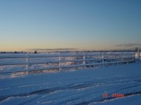 Skagit County4.jpg