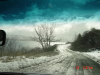 DSC00466.jpg