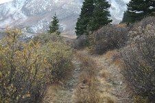 IMG_1433.jpg