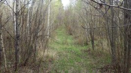 Near Ely7.jpg