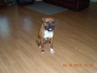 DSCN0634.jpg