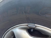 IMG_5245.jpg