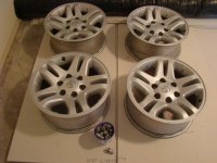 DSC07560.jpg