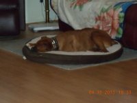 DSCN0637.jpg