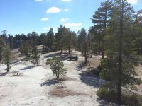 Bald mtn 4.jpg