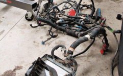 131_1305_04+wire_water_and_juice_engine_swap_tips+factory_wiring_harness.jpg