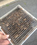 DIRTY AIR FILTER.jpg