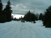 IMG00052-20100101-1503.jpg