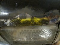 IMG-20130317-00056.jpg