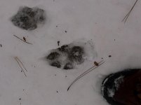 IMG_0564.jpg