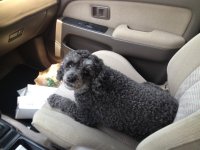 IMG_2271.jpg