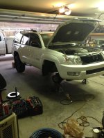 IMG_1320.jpg