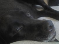 20121202_082723.jpg