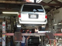 IMG_5679[1].jpg