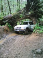 IMG_20130526_153551.jpg