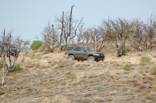 DSC_7251.jpg