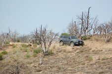 DSC_7252.jpg