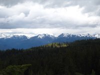 IMG_4295.JPG