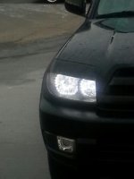 right side.jpg