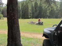 4wheeler.jpg