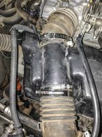hoses.jpg