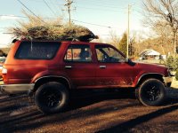 tree4runner.jpg