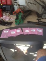 IMG_1172.jpg IMG_1172.jpg