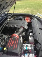 IMG_0699.jpg IMG_0699.jpg