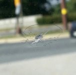 IMG_20131004_143757-1-1.jpg
