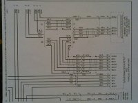 IMG300-1-1.jpg