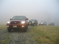 fog2.jpg