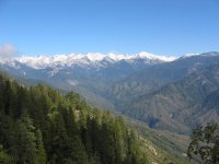 IMG_5153.jpg