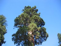IMG_5178.jpg