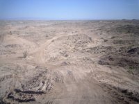 tracks everywhere.jpg