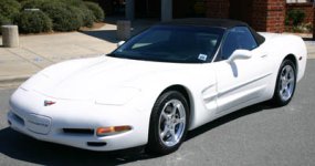 vette.jpg