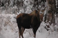DSC_0028.jpg