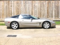 vette.jpg