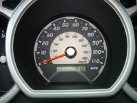 4runner 81.jpg