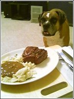 brock dinner.jpg