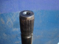 dsc00795.jpg