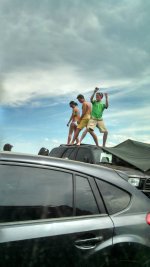 diso-roof.jpg