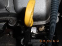 DSCN4317.JPG