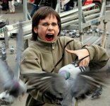 funny-animals-7.jpg