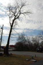 DSC_0041.jpg