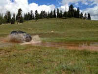 IMG_2720.jpg