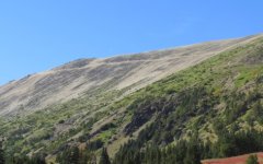 IMG_0486.jpg
