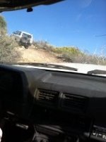 following Danny.jpg